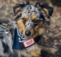 Good Girl Merit Iron On Patch By Scout’s Honour