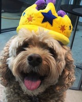 Canine Party Crown Dog Toy by P.L.A.Y