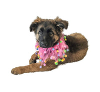 Pink Celebration Pom Pom Collar By Midlee