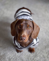 Inmate Prisoner Dog T-Shirt By Parisian Pet