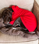 Ruby Red Cosy Dog Hoodie