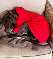 Ruby Red Cosy Dog Hoodie