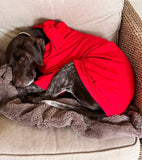 Ruby Red Cosy Dog Hoodie