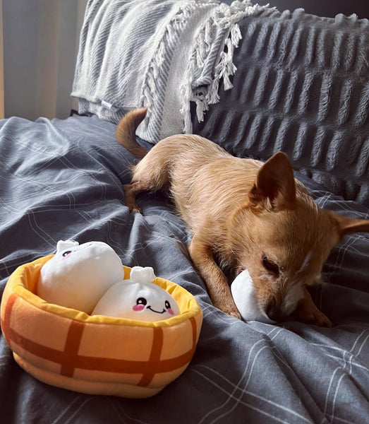 Dim Sum Soup Dumplings Hide Seek Dog Toy By Hugsmart – Love From
