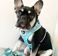 Lightning Love Dog Harness By The Spotty Hound