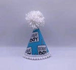 Birthday Boy Handcrafted Dog Party Hat By Pup Party Hats