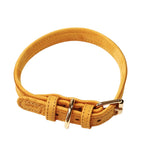 Yellow Luxury Leather Dog Buckle Collar By The Luna Co