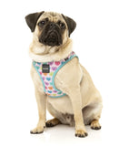 Candy Hearts Step In Dog Harness By Fuzzyard