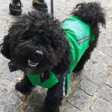 Windbreaker Green Dog Jacket By Urban Pup