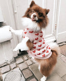 Love Heart Pooch Knitted Sweater By Love From Betty