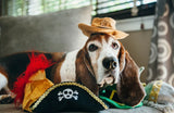 Mutt Hatter Sheriff Hat Dog Toy By P.L.A.Y