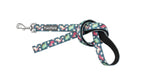 Dinosaur Land Dog Lead By FuzzYard