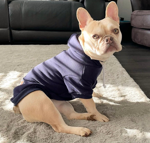 Stylish Navy Cosy Dog Hoodie