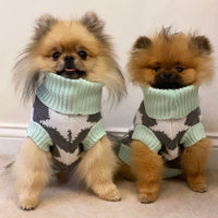 Star Struck Pooch Knitted Sweater By Love From Betty