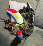 Fetching Flock Toucan Dog Toy By P.L.A.Y