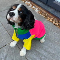 Brights Gatsby Dog Fleece By The Distinguished Dog Company