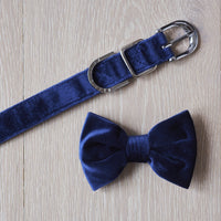 Navy Blue Velvet Dog Bow Tie By Sweet William