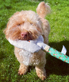Pooch Garden Trowel Dog Toy By Hugsmart