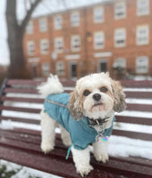 Rainstorm Teal Dog Jacket By Urban Pup
