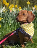 Gingham Dream Bandana Handmade By Urban Tails