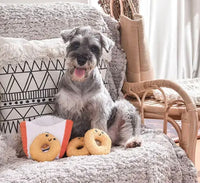 Fast Food Onion Rings Hide & Seek Dog Toy By Hugsmart