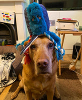 Under The Sea Octopus Dog Toy By House Of Paws