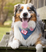 Good Boy Merit Iron On Patch By Scout’s Honour