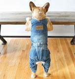 Blue Denim Dog Overalls By Parisian Pet