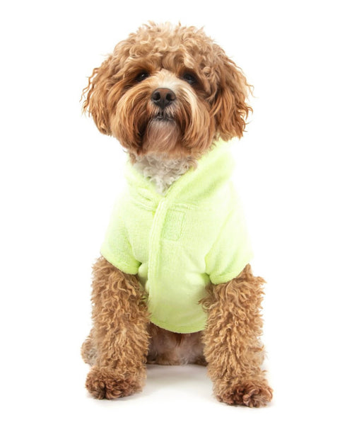 Lime Drying Coat Bath Dog Robe By Big & Little Dogs