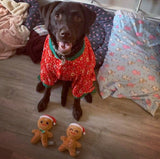 Festive Gingerbread Snowstorm Dog Pyjamas By FuzzYard