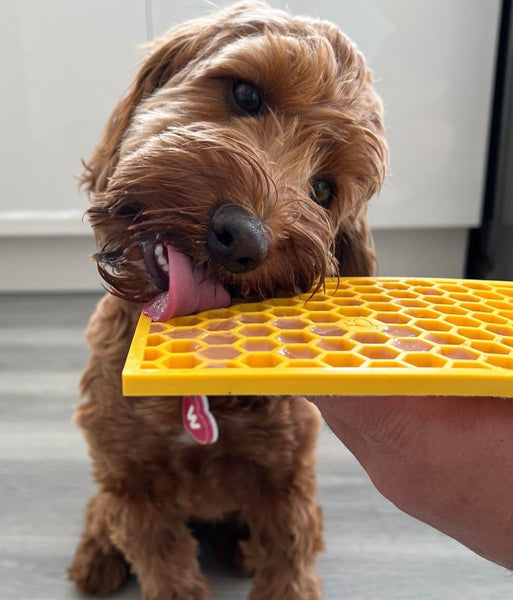 Sodapup Honey Comb Enrichment Lick Mat (Small) — Happy Dog Wellness