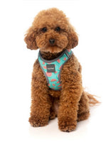 Summer Punch Watermelon Step In Dog Harness By Fuzzyard