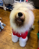 Ruby Red Cosy Dog Hoodie