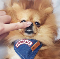 Boopable Merit Iron On Patch By Scout’s Honour