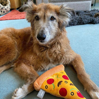 Pupperoni Pizza Dog Toy By FuzzYard