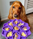 Purple Mandala Design eTray Enrichment Tray for Dogs By Soda Pup