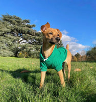 Forest Green Cosy Dog Hoodie