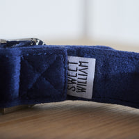 Navy Blue Velvet Dog Collar By Sweet William