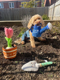 Pooch Garden Tulip Plant Dog Toy By Hugsmart