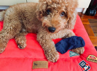 Sock Thief Merit Iron On Patch By Scout’s Honour