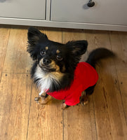 Ruby Red Cosy Dog Hoodie