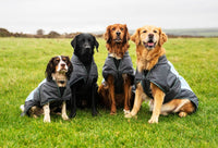 Waterproof Dog Coat By Henry Wag