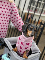 Love Heart Pooch Knitted Sweater By Love From Betty