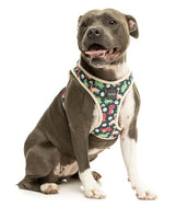 Dinosaur Land Step In Dog Harness By Fuzzyard