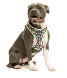 Dinosaur Land Step In Dog Harness By Fuzzyard