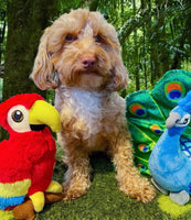 Fetching Flock Peacock Dog Toy By P.L.A.Y