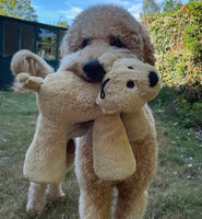 Big Paws Squeaker Bear Dog Toy By House of Paws
