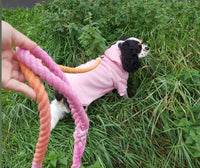 Ombré Pink & Orange Cotton Rope Dog Lead By The Luna Co