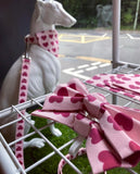 Love Heart Dog Bow Tie Handmade By Love From Betty X Urban Tails