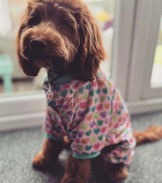 Candy Heart Dog Pyjamas By FuzzYard